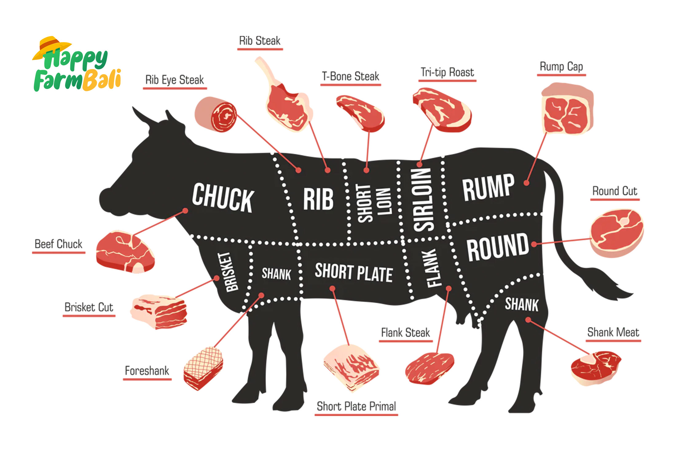 15 Types of Beef Cuts Along with Their Explanations