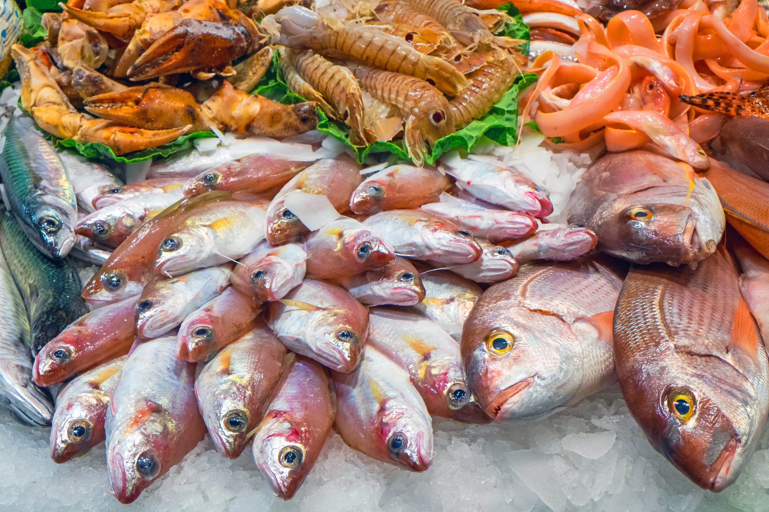 7 Tips for Choosing Fresh and Frozen Seafood Suppliers in Bali