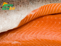 Distributor Salmon Trout