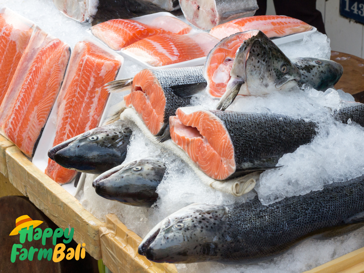 Salmon Trout Supplier in Bali