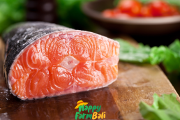 Salmon Trout Supplier in Bali