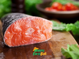 Salmon Trout Supplier in Bali
