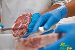 Wholesale Meat Supplier Daging Grosir di Bali