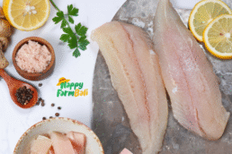 ikan dori fillet