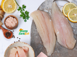 ikan dori fillet