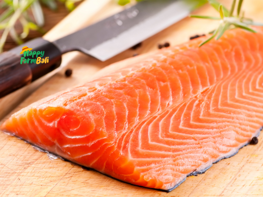 Fresh Salmon Product