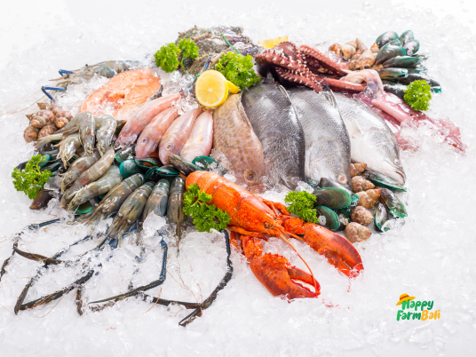 Supplier Seafood