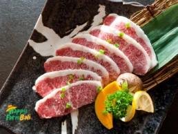 Premium Beef Supplier Daging Sapi Premium