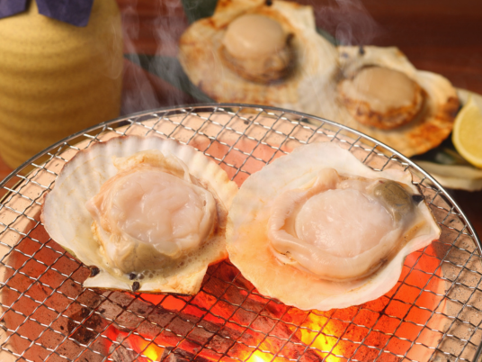 Scallop Produk Seafood Products
