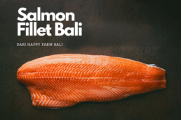 Salmon Fillet Bali