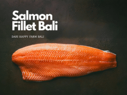 Salmon Fillet Bali