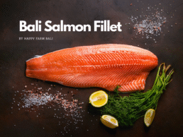 Bali Salmon Fillet