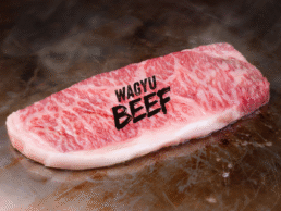 Wagyu Beef Supplier