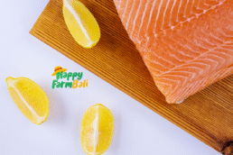 Salmon Fillet Horeca