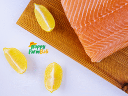 Salmon Fillet Horeca