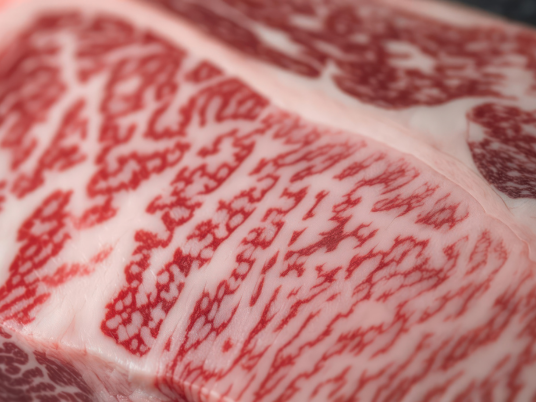 Supplier Daging Wagyu