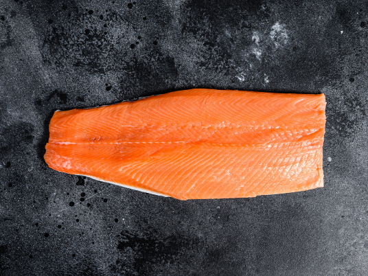 Horeca Trout Supplier