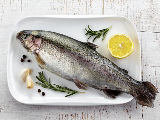 Supplier Trout Horeca