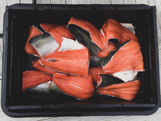 Coho Salmon Supplier Happy Farm Bali