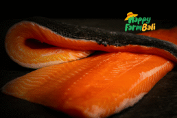Salmon Fillet Supplier