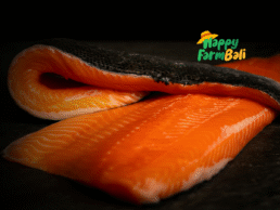Salmon Fillet Supplier