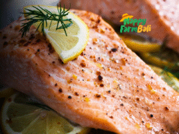 Coho Salmon Supplier Happy Farm Bali