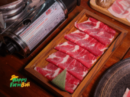 No.1 AYCE Supplier in Bali