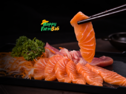 Supplier Salmon Fresh Sashimi Bali