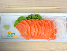 Fresh Salmon Sashimi Supplier in Bali