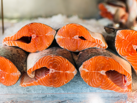 Supplier Salmon Fresh Sashimi Bali