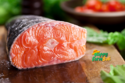 Distributor Salmon Fresh