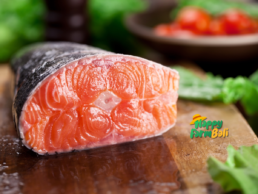 Distributor Salmon Fresh