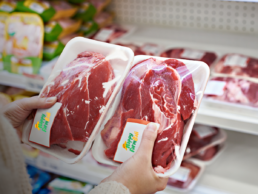 Supplier Meat Food Service