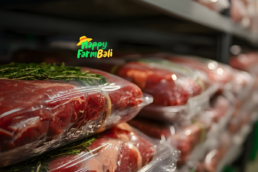 B2B Food Distributor Bali