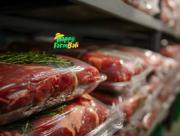 B2B Food Distributor Bali