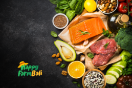 Bali Protein Food Supplier