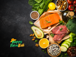 Bali Protein Food Supplier