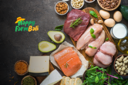 Supplier Makanan Protein Bali