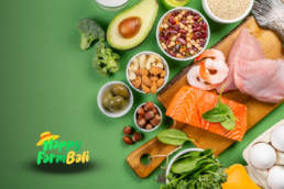 Supplier Healthy Food Bali