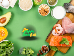 Healthy Food Supplier in Bali