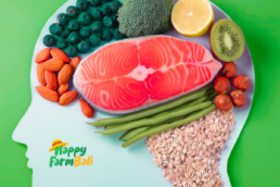 Supplier Ikan Salmon Bali