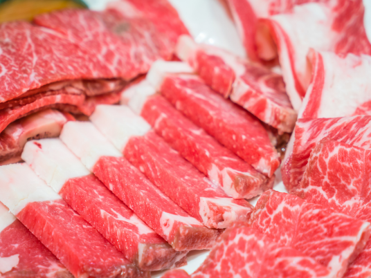 supplier daging sapi