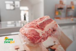 supplier daging sapi