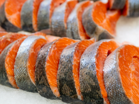 Bali Salmon Supplier