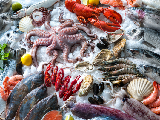 Meat and Seafood Supplier