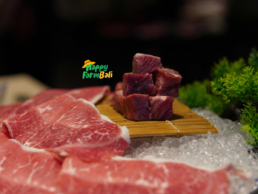 Supplier Daging Bali