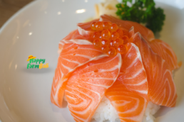 Supplier Salmon Bali