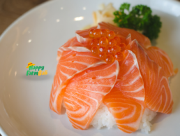 Supplier Salmon Bali