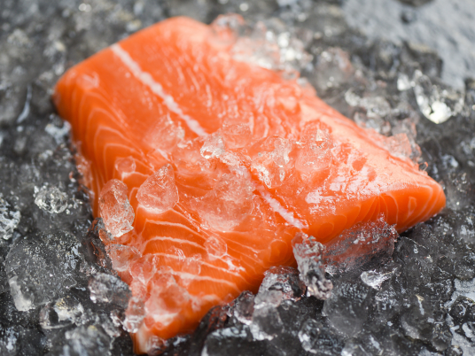 Supplier Salmon Import