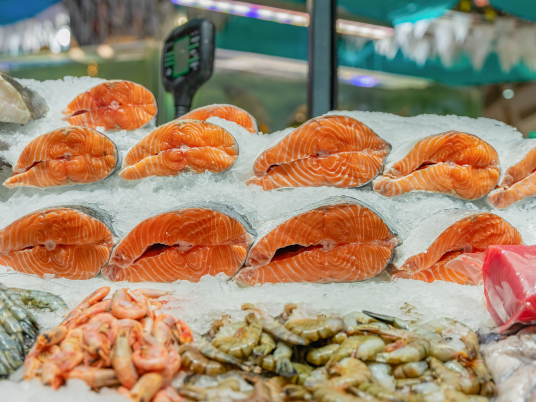 Supplier Salmon Import